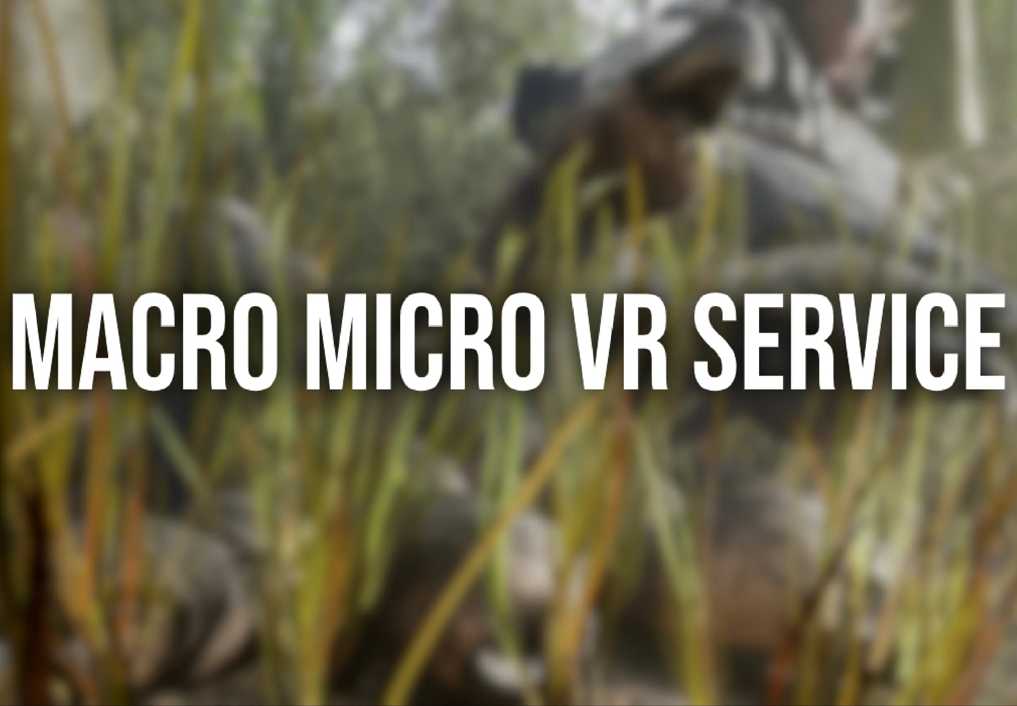 Cover art of Macro Micro VR Service